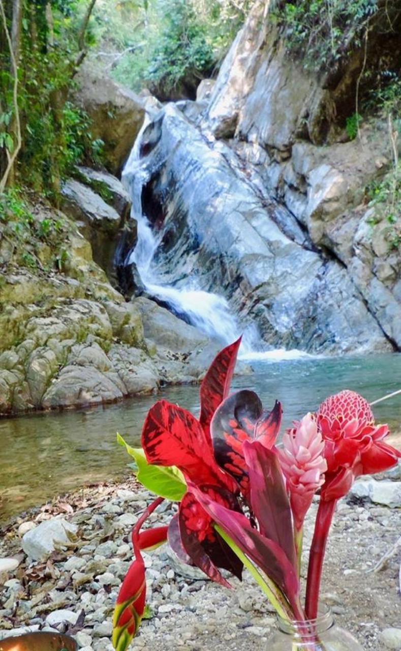 Glamping Finca Margaritas Pluma Hidalgo Екстер'єр фото