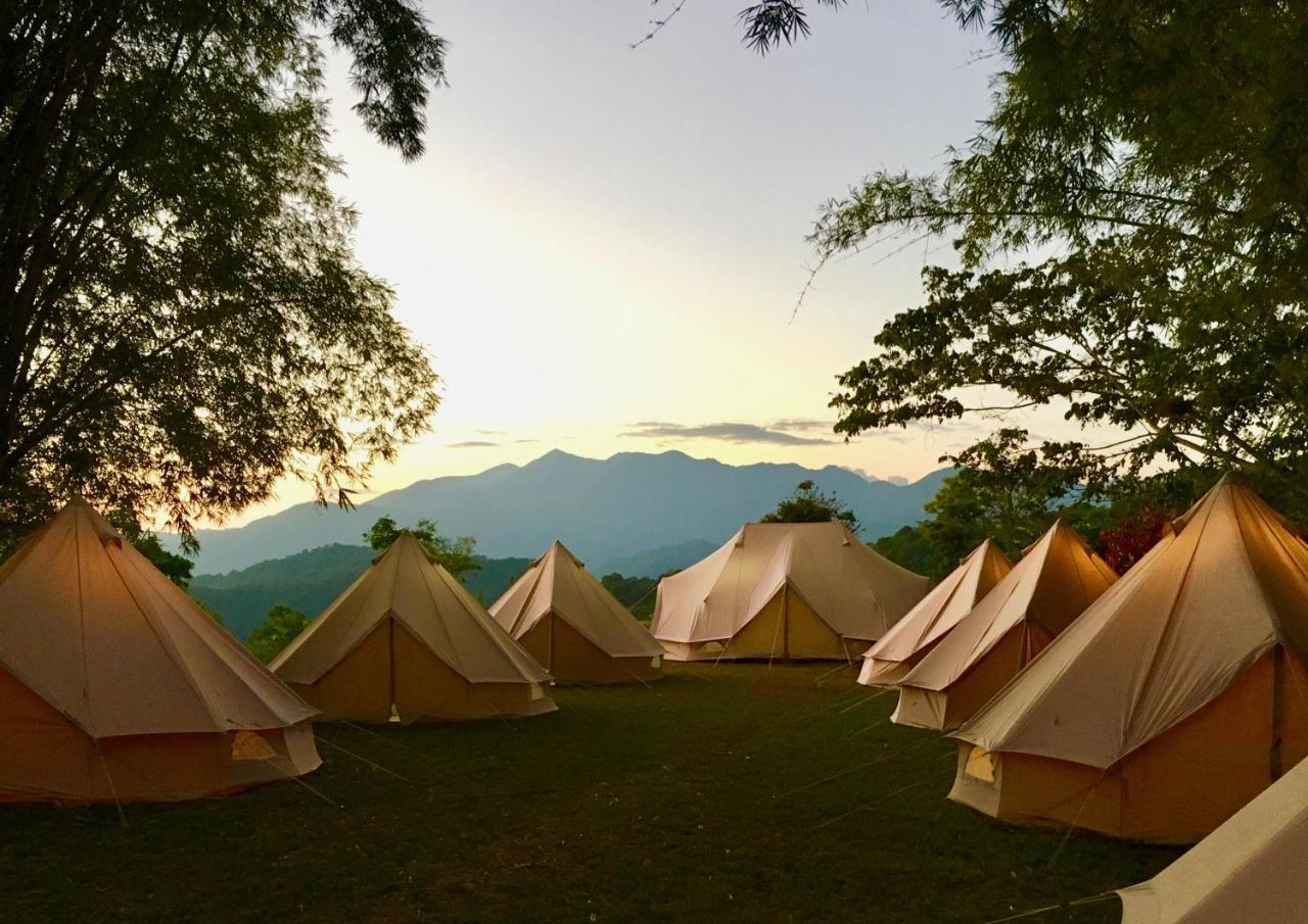 Glamping Finca Margaritas Pluma Hidalgo Екстер'єр фото