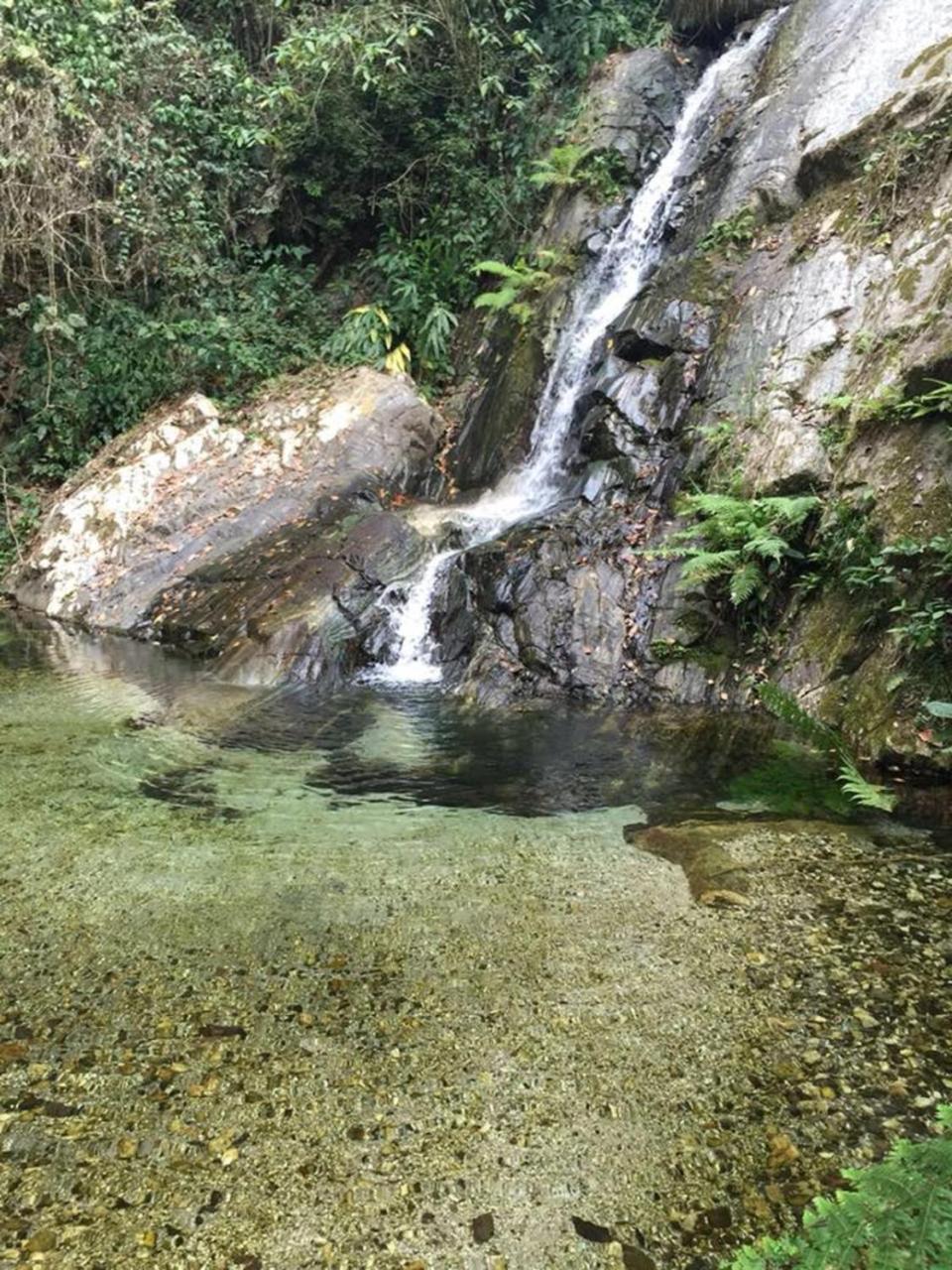 Glamping Finca Margaritas Pluma Hidalgo Екстер'єр фото