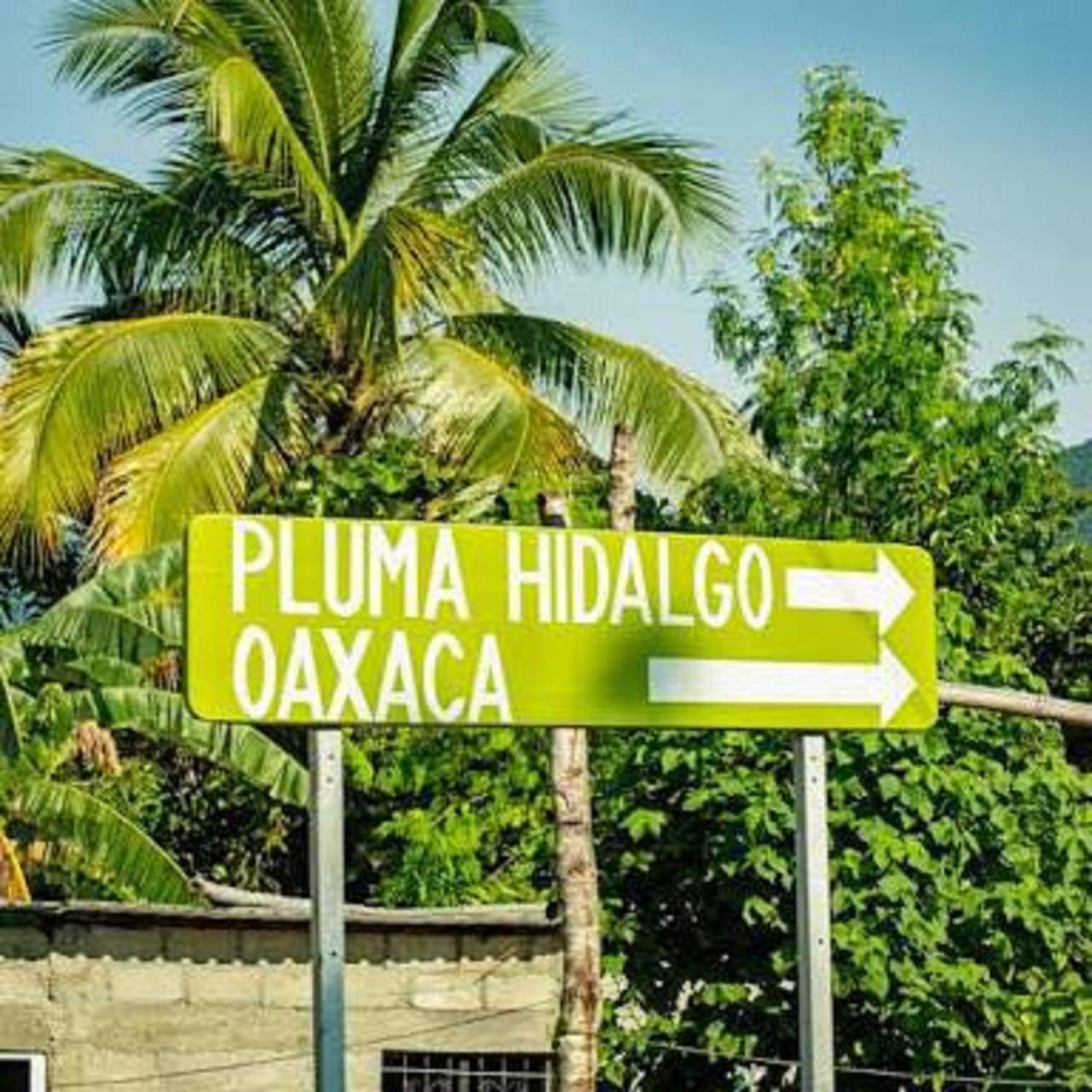 Glamping Finca Margaritas Pluma Hidalgo Екстер'єр фото
